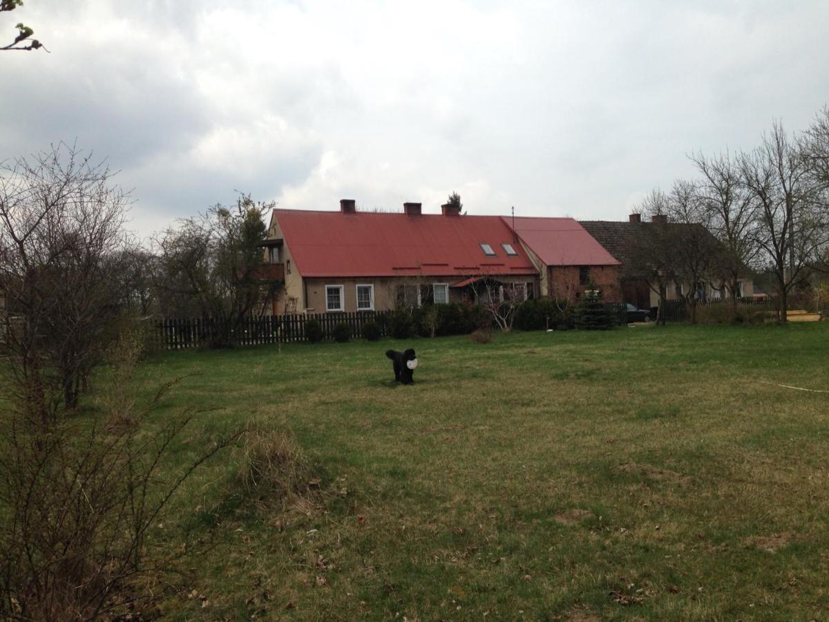 Satnatorium Bed & Breakfast Tuczno ภายนอก รูปภาพ
