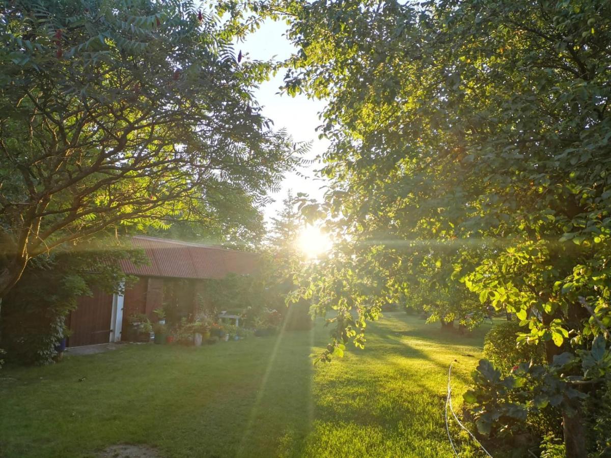 Satnatorium Bed & Breakfast Tuczno ภายนอก รูปภาพ